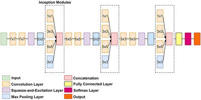 Fetal Organ Anomaly Classification Network for Identifying Organ Anomalies in Fetal MRI